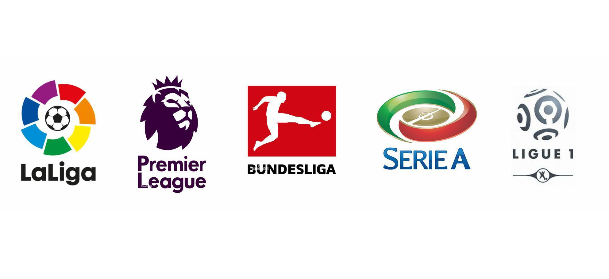 而和泰尔齐 而和泰尔齐