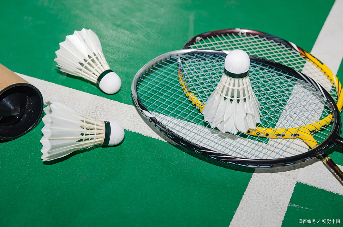 手的特点和 手的特点和