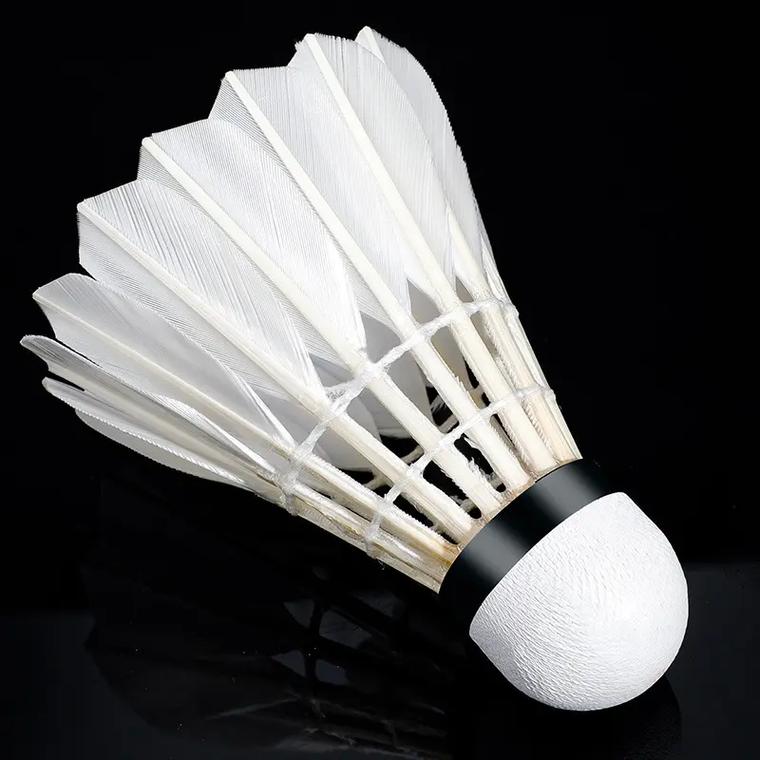 了更加积极 了更加积极